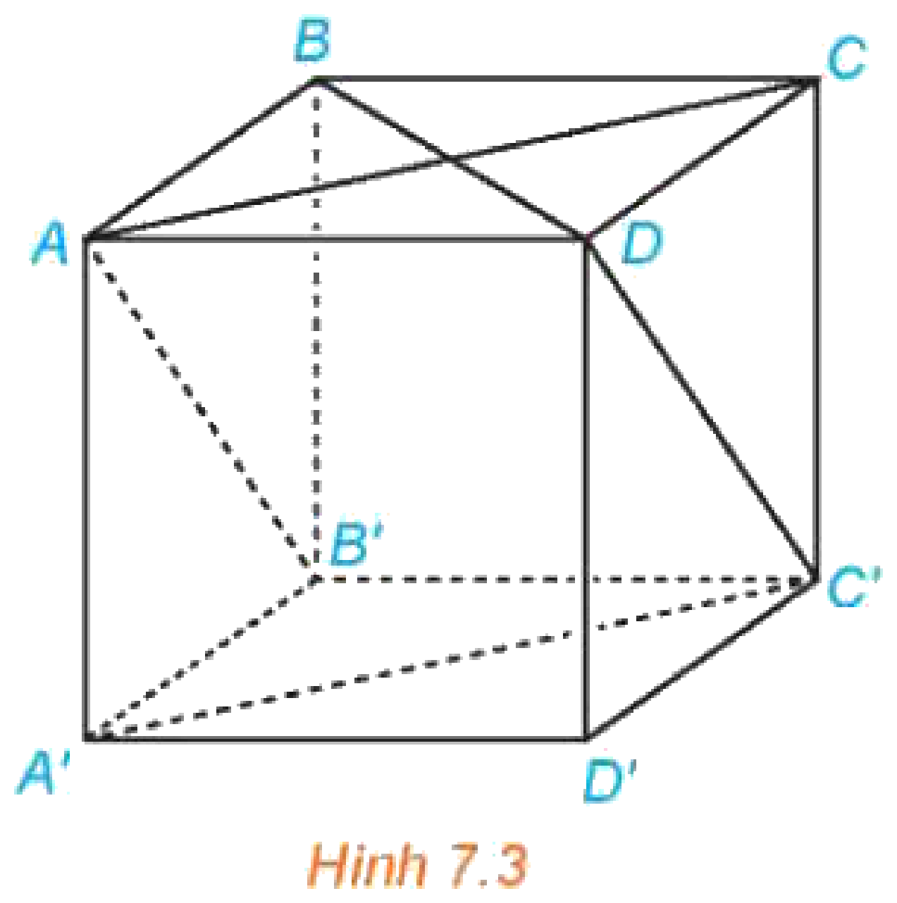 Hình 7.3 Hình hộp chữ nhật