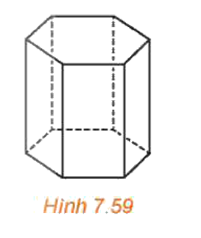 Hình 7.59: Lăng trụ đều